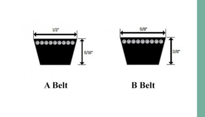 تفاوت تسمه a و b